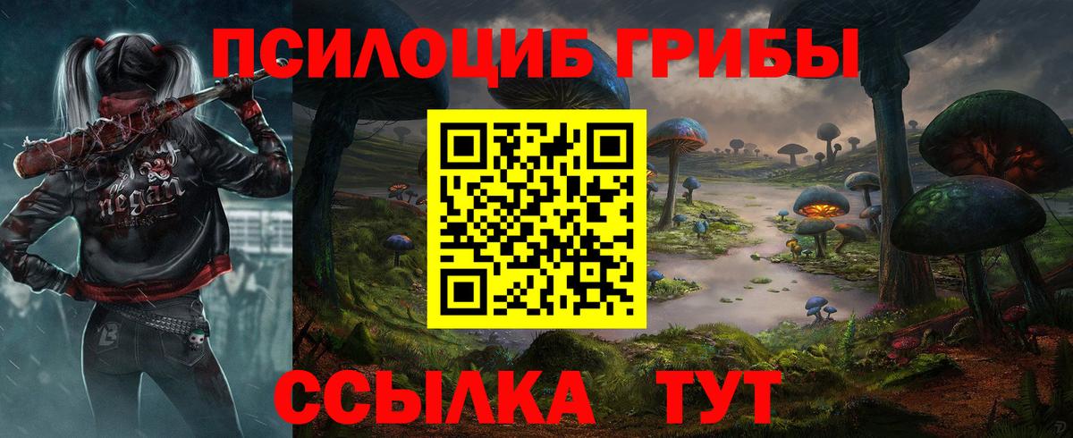 наркошоп  Вход с VPN  Саяногорск  Псилоцибиновые грибы Psilocybe 